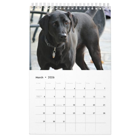 Black Lab Calendar Labrador Retriever 2026 Kalender (Mar 2026)