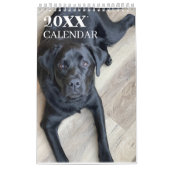 Black Lab Calendar Labrador Retriever 2026 Kalender (Hoes)