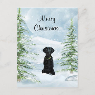 Black lab Christmas Feestdagenkaart
