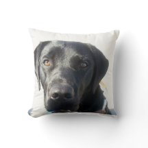 Black Lab Cushion