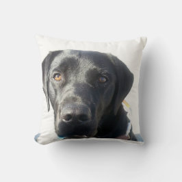 Black Lab Cushion Kussen