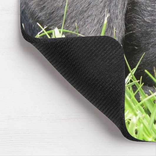 Black Lab Daydreamer Muismat (Hoek)