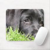 Black Lab Daydreamer Muismat (Met muis)