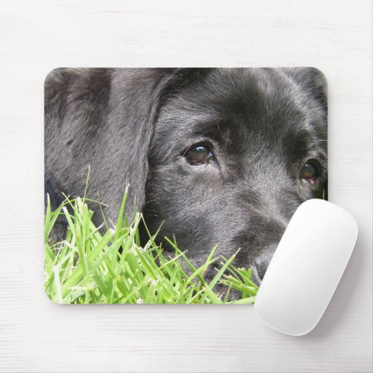 Black Lab Daydreamer Muismat (Met muis)