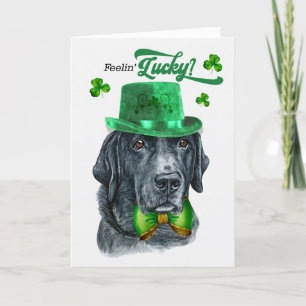 Black Lab Dog Feelin' Lucky St Patrick's Day Feestdagen Kaart