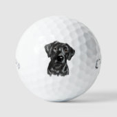 Black Lab Dog Golfballen (Voorkant)