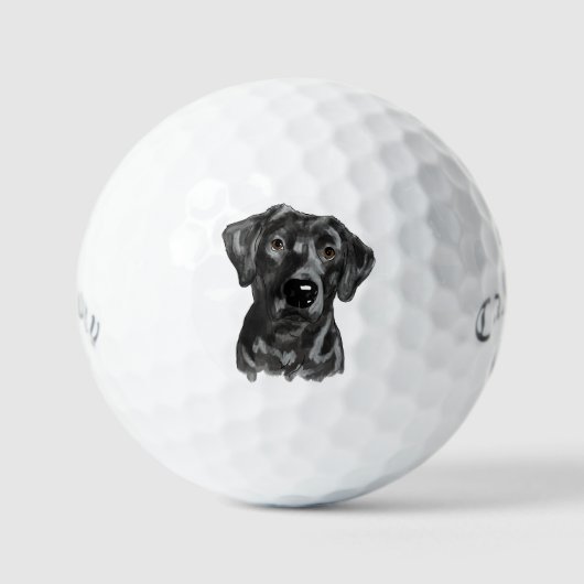 Black Lab Dog Golfballen (Voorkant)