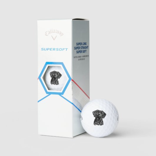Black Lab Dog Golfballen (Verpakking)