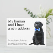 Black Lab Dog Moving Aankondiging (Staand voorkant)