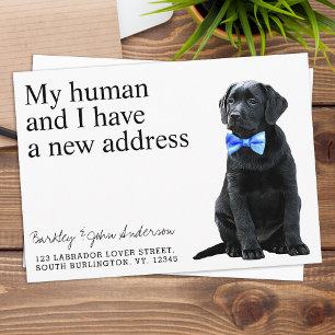 Black Lab Dog Moving Aankondiging