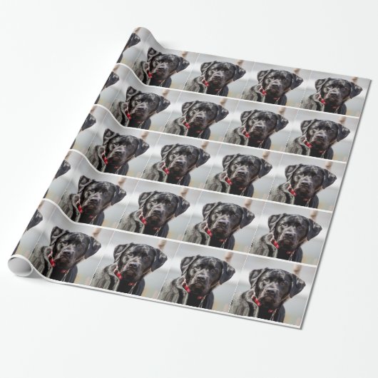 Black Lab Dog Pet Black Labrador Retriever Cadeaupapier (Uitgerold)