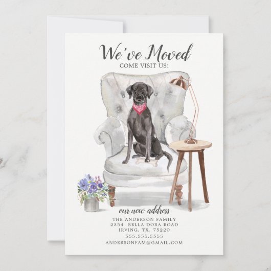 Black Lab Dog | Verplaatsingsaankondiging Aankondiging (Voorkant)