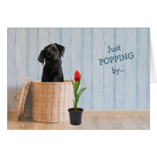 Black Lab Dog Wicker Basket Birthday-kaart
