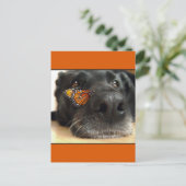BLack Lab Dog with Butterfly Briefkaart (Staand voorkant)