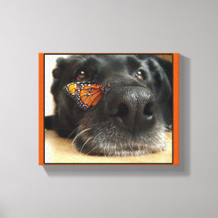 BLack Lab Dog with Butterfly Canvas Afdruk