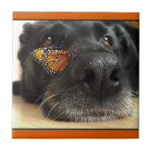 BLack Lab Dog with Butterfly Tegeltje (Voorkant)