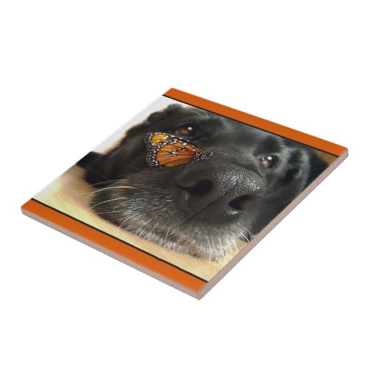 BLack Lab Dog with Butterfly Tegeltje (Zijkant)