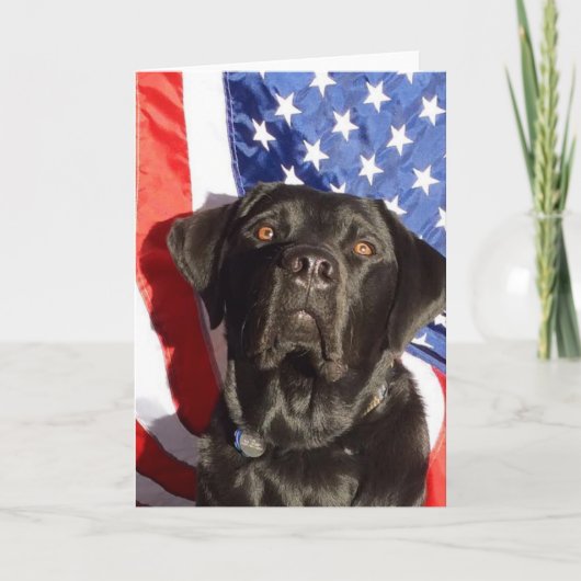 Black Lab en Flag Wenskaart Kaart (Voorkant)