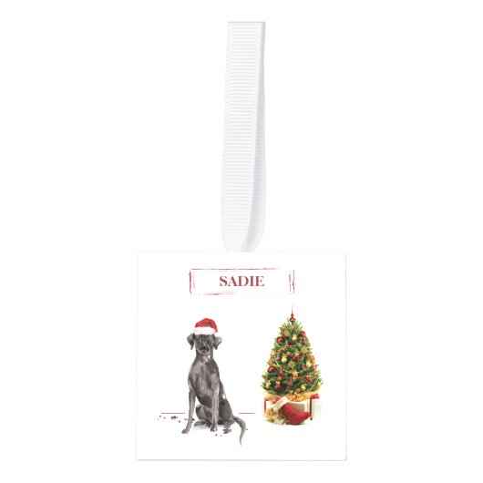 Black Lab Funny Kersthond en boom Decoratie (Voorkant)