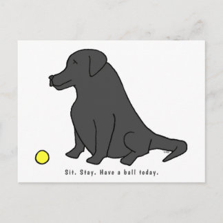 Black Lab Funny Pet Cartoon op een zwart klaplak Briefkaart