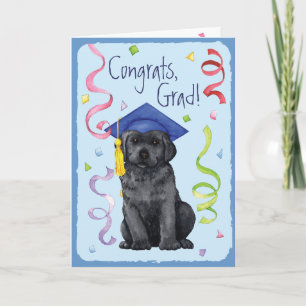 Black Lab Graduate Kaart