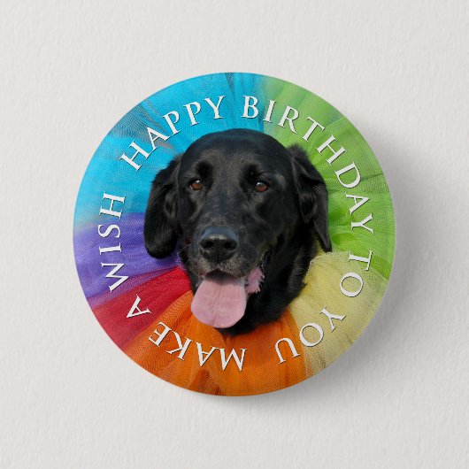 Black Lab Happy Birthday Button (Voorkant)