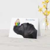 Black Lab Ik hou van je Kaart - Dog I Love You (Gele Bloem)