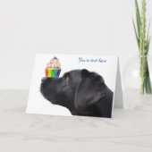 Black Lab Ik hou van je Kaart - Dog I Love You (Voorkant)