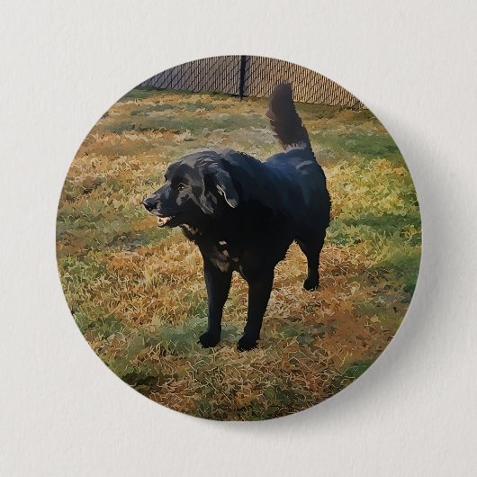 Black Lab in de Herfst zon Button (Voorkant)