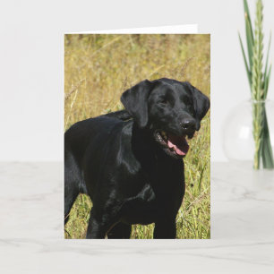 Black Lab in Field Note Kaart