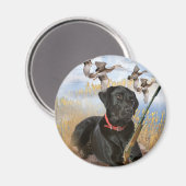 Black Lab jaagt op magneet (Voorkant / Achterkant)