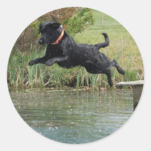 Black Lab Jumping Ronde Sticker (Voorkant)