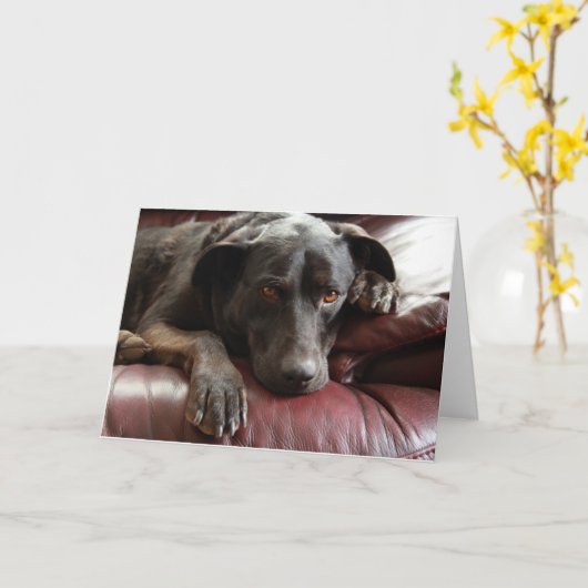 Black Lab-Kaart Kaart (Gele Bloem)