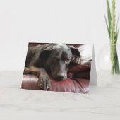 Black Lab-Kaart Kaart (Voorkant)