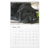 Black Lab-kalender Labrador Retriever 2026 Kalender (Feb 2027)