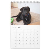 Black Lab-kalender Labrador Retriever 2026 Kalender (Jan 2027)