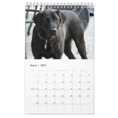 Black Lab-kalender Labrador Retriever 2026 Kalender (Mar 2027)