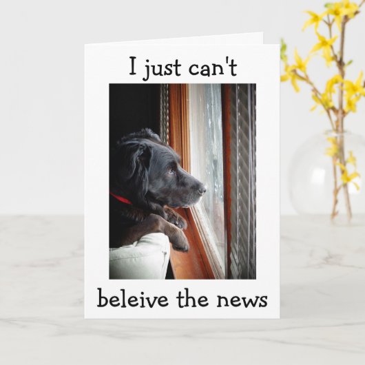 BLACK LAB KAN NIET GELOVEN DAT JE "40" BENT KAART (Gele Bloem)