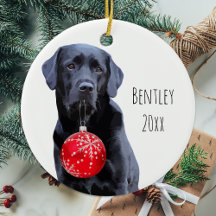 Black Lab Kerstmis Pet Labrador Puppy Cute Dog