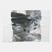 Black Lab Kitchen Towel Theedoek (Horizontaal)