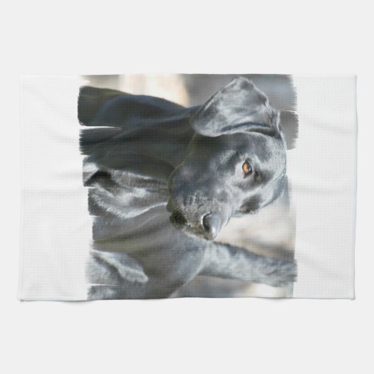 Black Lab Kitchen Towel Theedoek (Horizontaal)