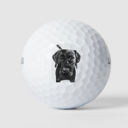 Black Lab Labrador Hondengolfbal Golfballen (Voorkant)