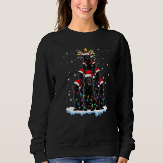Black Lab Labrador-kerstboom met lichte kerstmis Trui