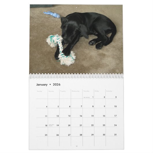 Black Lab labrador Recovery-kalender Kalender (Jan 2026)