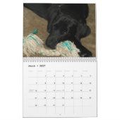 Black Lab labrador Recovery-kalender Kalender (Mar 2027)