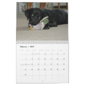 Black Lab labrador Recovery-kalender Kalender (Feb 2027)