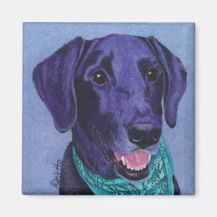 Black Lab Magnet - "Gus"
