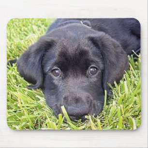 Black Lab mousepad Muismat