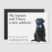 Black Lab New Address Dog Moving Announcement Kaar (Voorkant / Achterkant)
