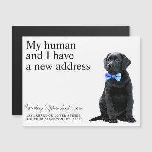Black Lab New Address Dog Moving Announcement Kaar